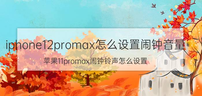 iphone12promax怎么设置闹钟音量 苹果11promax闹钟铃声怎么设置？